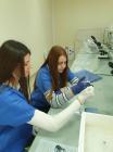 BURCH LABORATORIJ 1