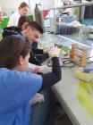 Laboratorij 7